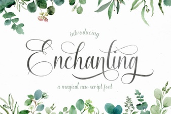 Beautiful Script Fonts for Your Creative Designs